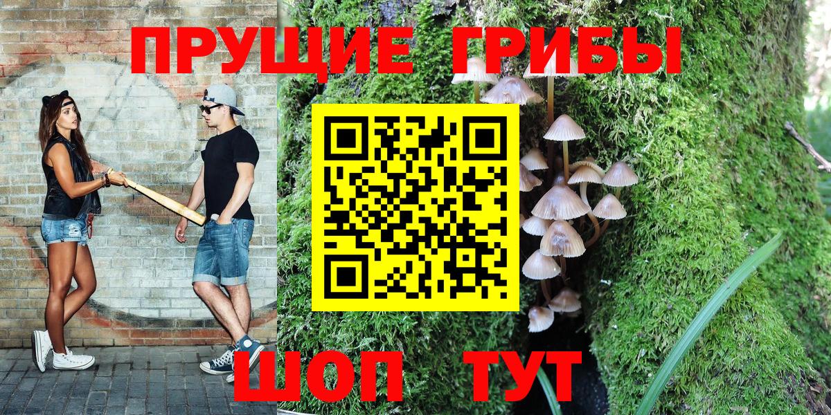 Псилоцибиновые грибы MAGIC MUSHROOMS Архангельск