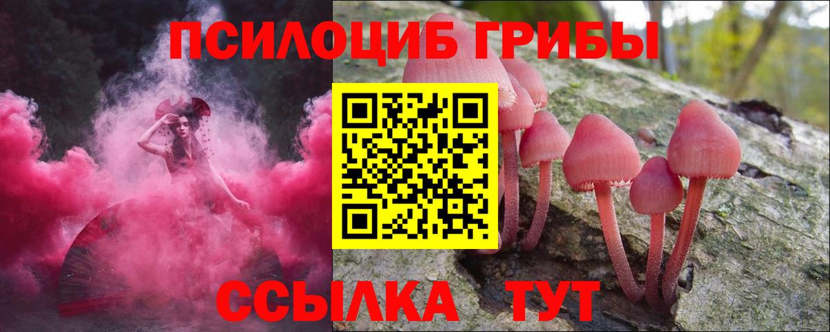 Псилоцибиновые грибы GOLDEN TEACHER  Вход с VPN  Псилоцибиновые грибы мицелий  Архангельск 